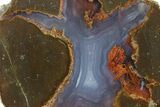 Colorful Polished Thunderegg Half - Nevada #337763-1